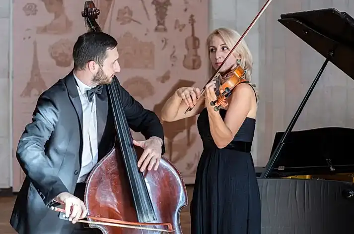 özel keman dersi fiyatları